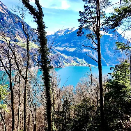 Casa Goldrose Homestay Lucerne